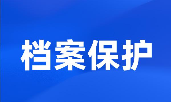 档案保护