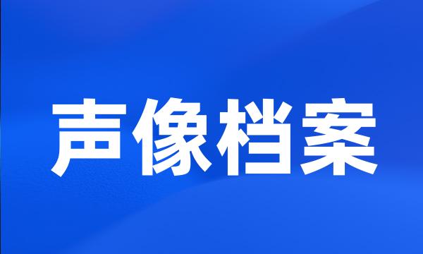 声像档案