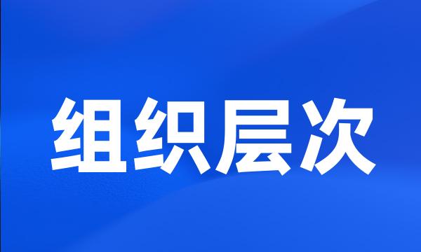 组织层次