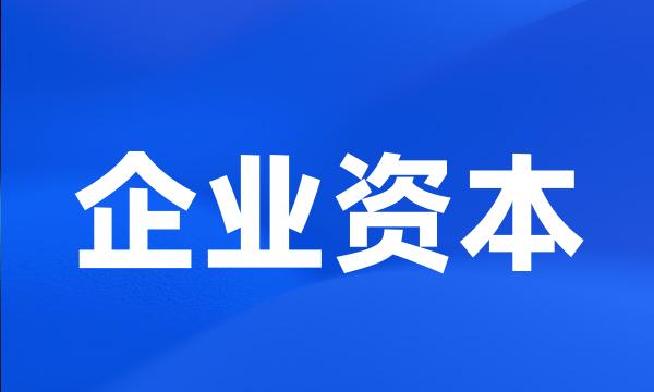 企业资本