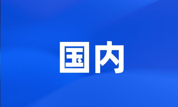 国内