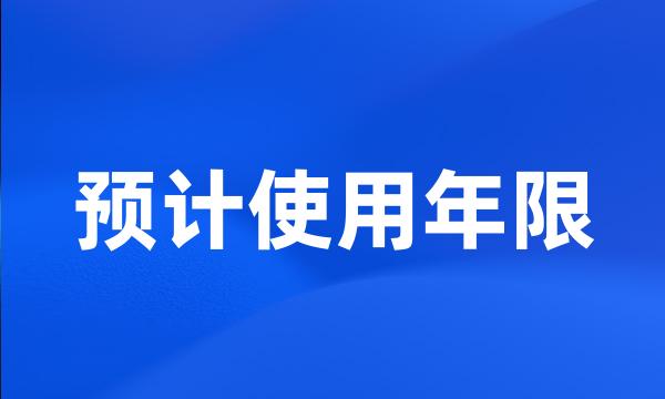 预计使用年限