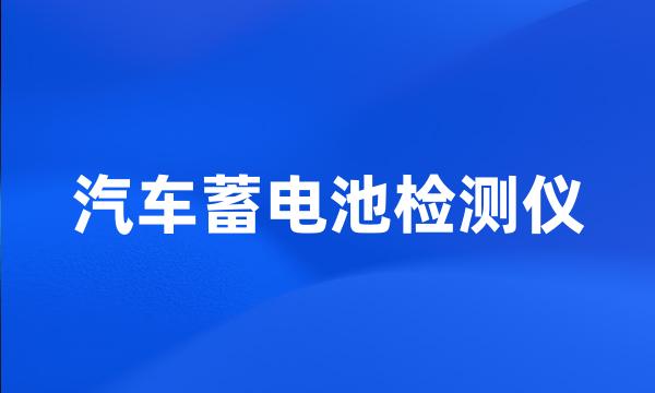 汽车蓄电池检测仪