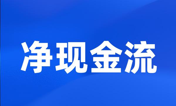 净现金流