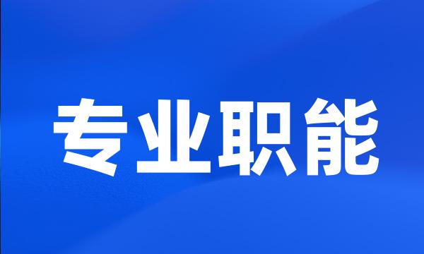 专业职能