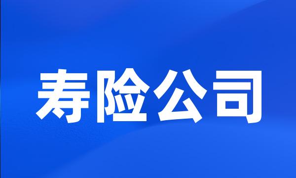 寿险公司