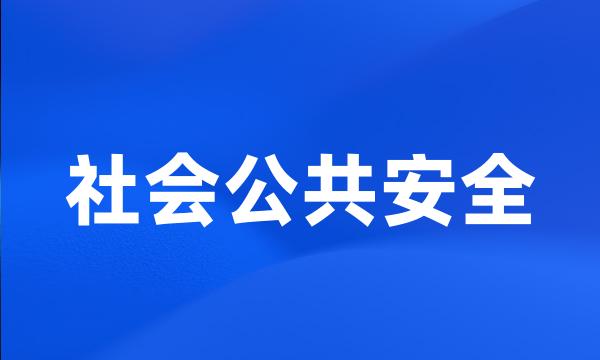 社会公共安全