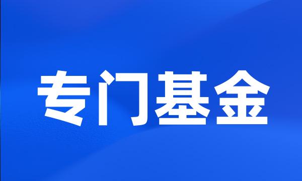 专门基金