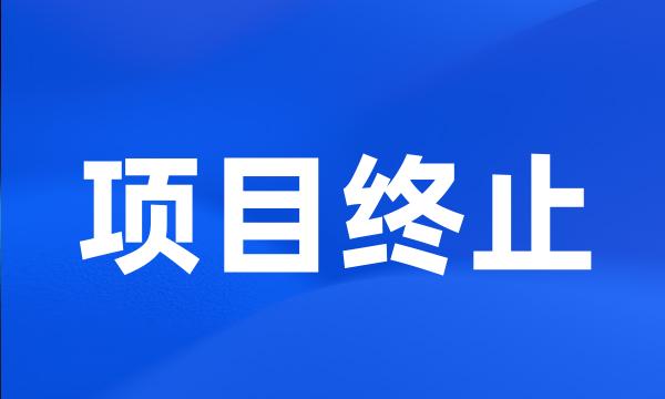 项目终止