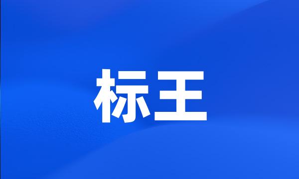 标王