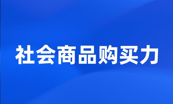 社会商品购买力