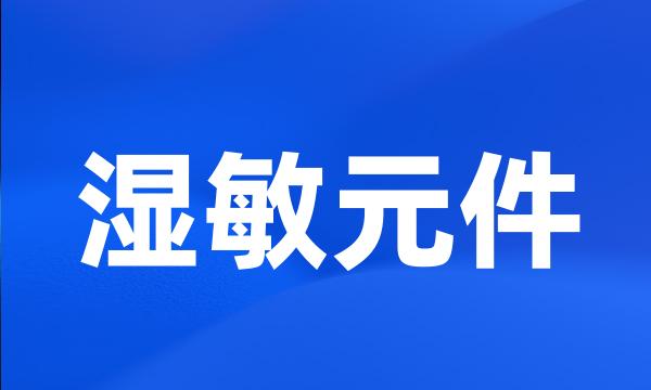 湿敏元件