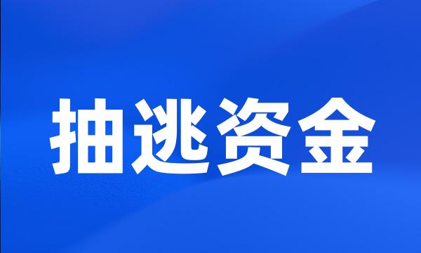 抽逃资金