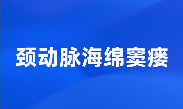 颈动脉海绵窦瘘