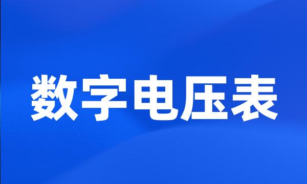 数字电压表