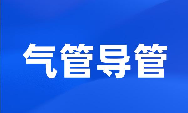 气管导管