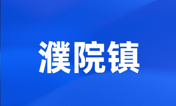 濮院镇