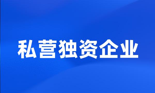 私营独资企业