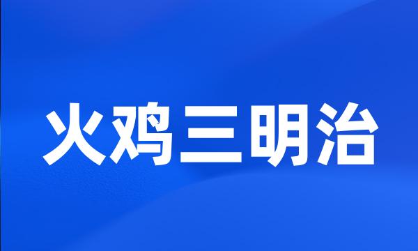 火鸡三明治