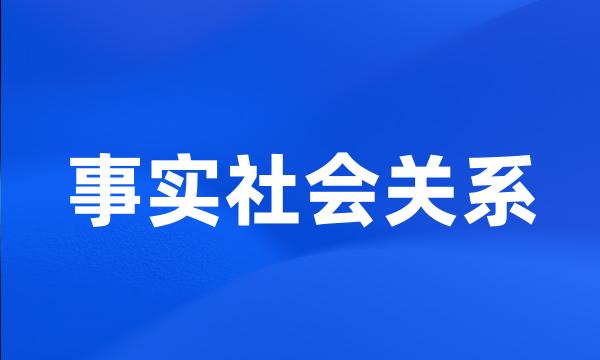 事实社会关系