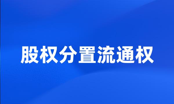 股权分置流通权