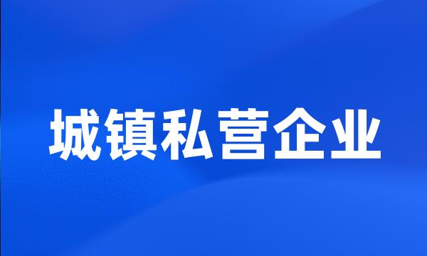 城镇私营企业