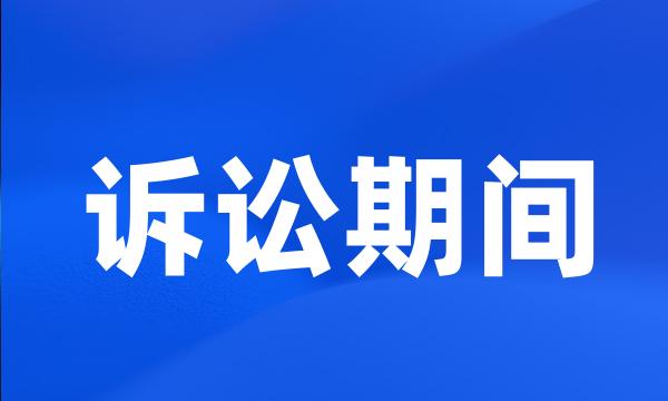 诉讼期间