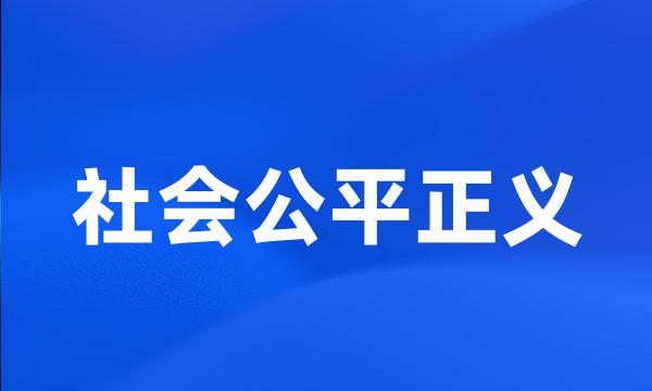 社会公平正义