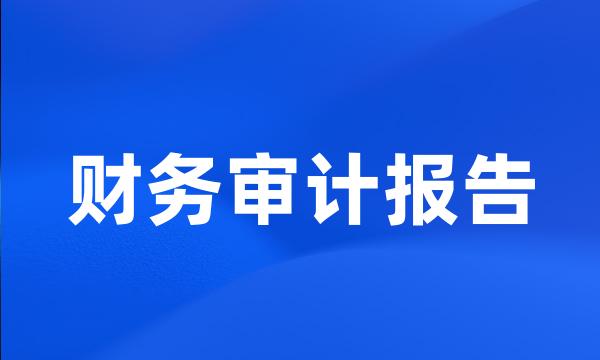 财务审计报告