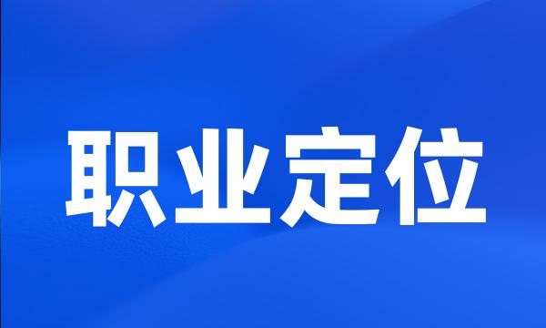 职业定位