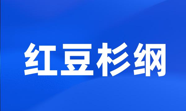 红豆杉纲