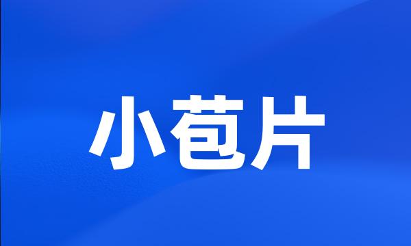 小苞片