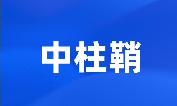 中柱鞘