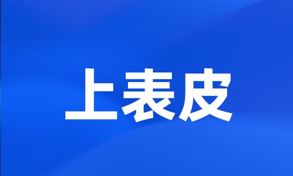 上表皮