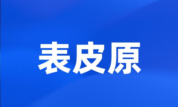 表皮原