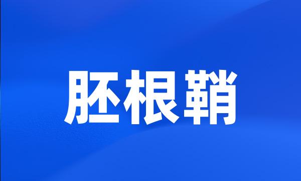 胚根鞘