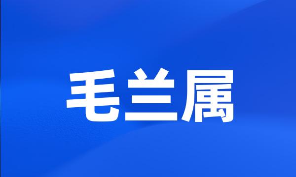 毛兰属