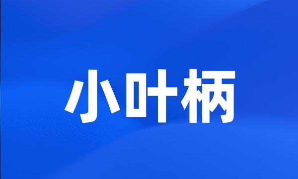 小叶柄