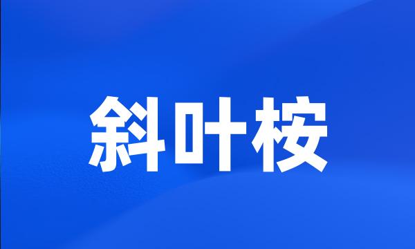 斜叶桉