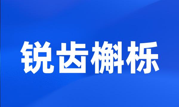 锐齿槲栎