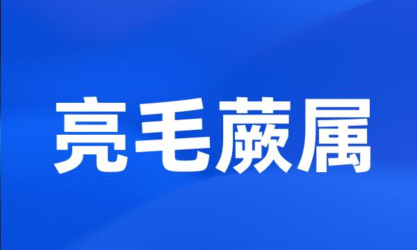 亮毛蕨属