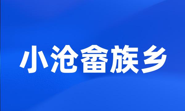 小沧畲族乡