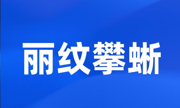 丽纹攀蜥