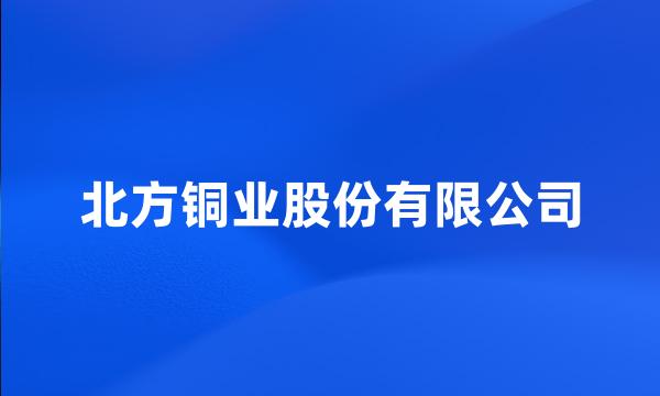 北方铜业股份有限公司