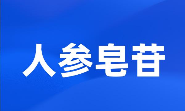 人参皂苷