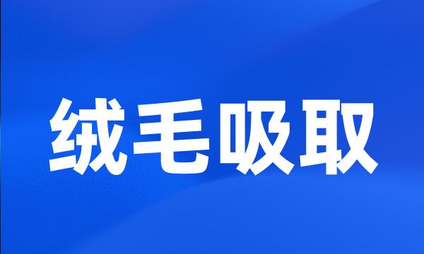 绒毛吸取