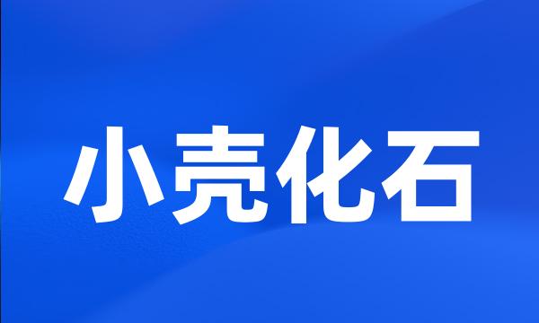 小壳化石