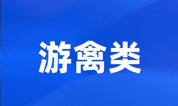 游禽类