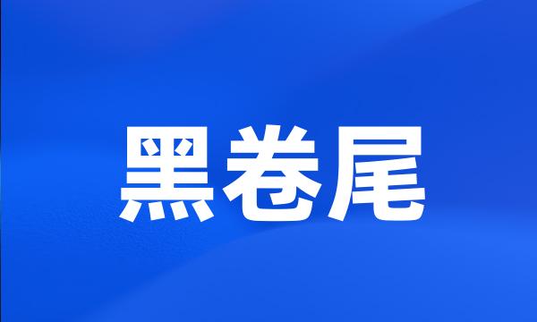 黑卷尾