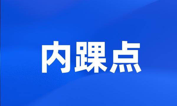 内踝点